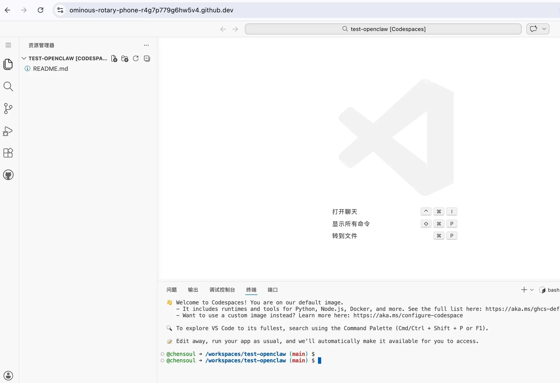 install-openclaw-in-github-codespace-03