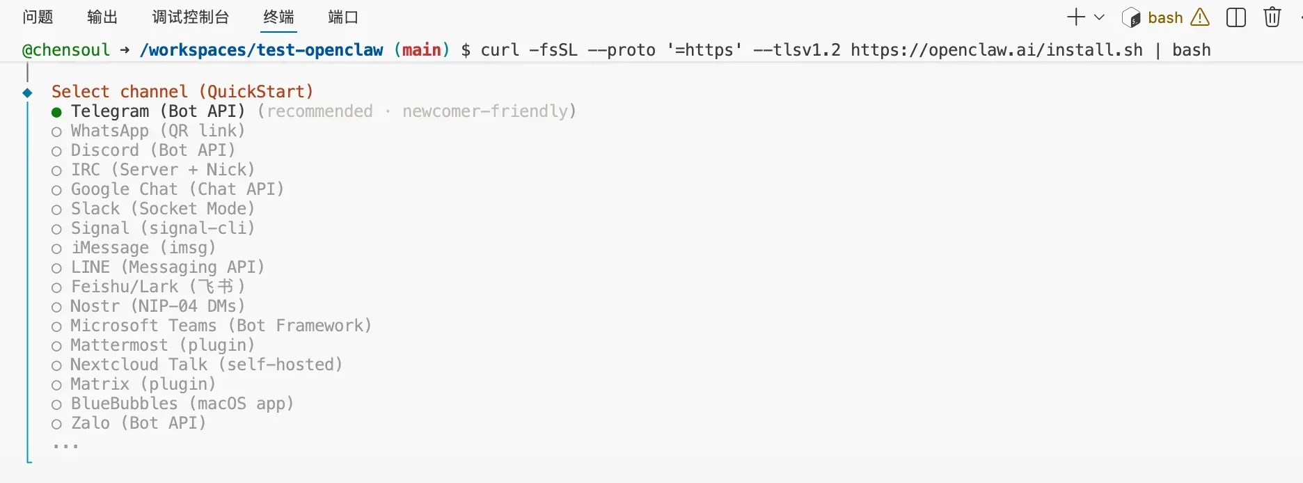 install-openclaw-in-github-codespace